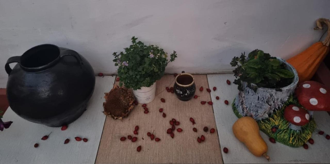 Villa Casa Jeni Humulesti Esterno foto